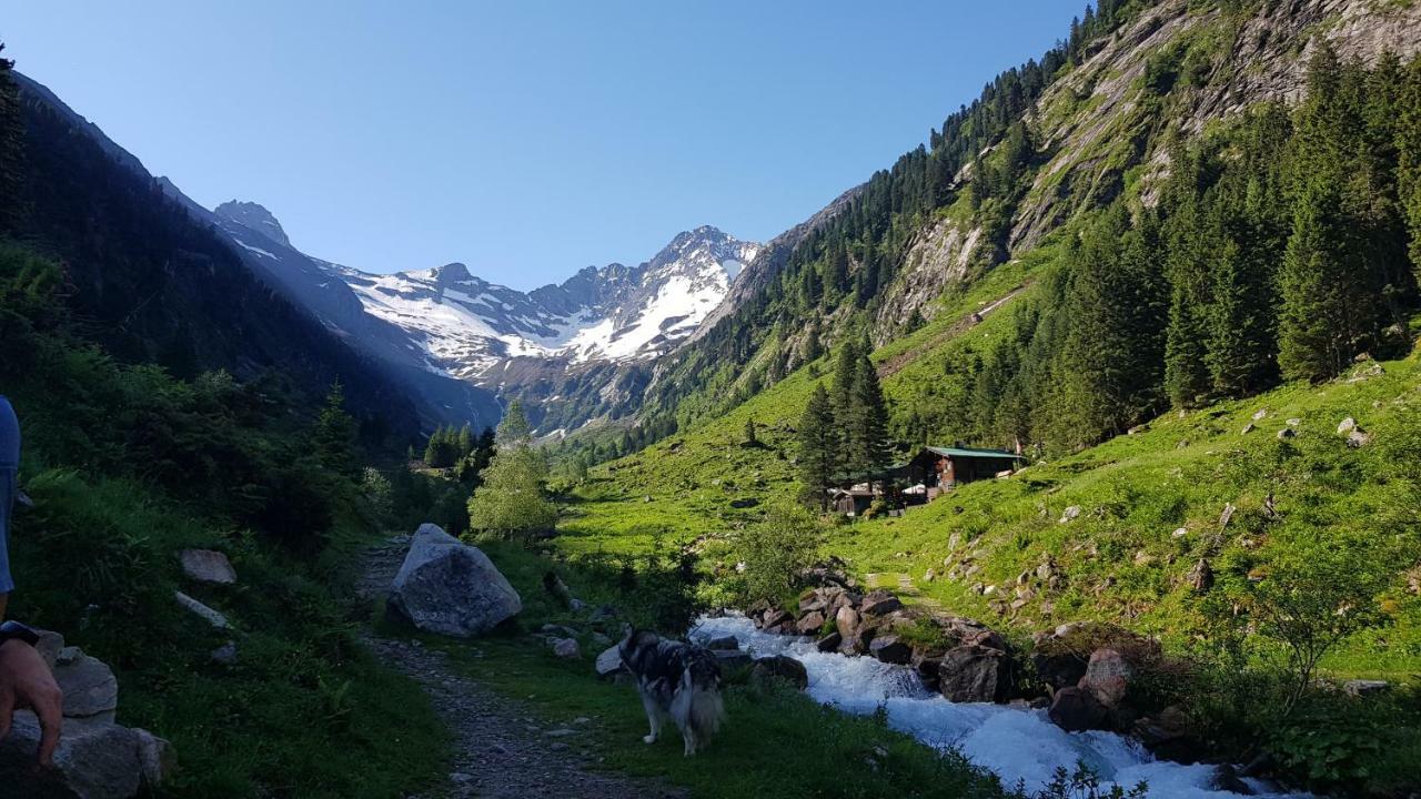 Eberl'S Zirbenlodge Ginzling Zewnętrze zdjęcie